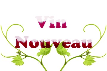 Vin nouveau_vine leaf