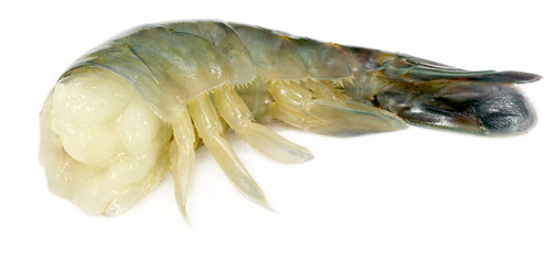 Raw Shrimp