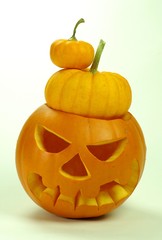 Kürbisse für Helloween