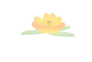 He Xiangu Lotus Symbol Freisteller