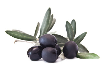 aceitunas negras en la rama