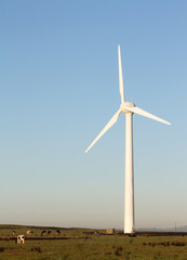 Wind turbine