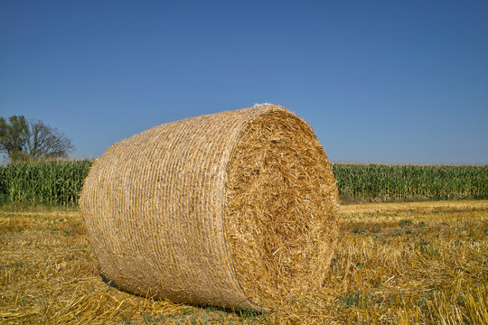 Strohballe