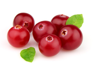 Ripe cranberry with leaves of mint