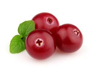 Fresh cranberry in a white background