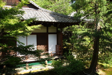 Japanese temple in Kyoto