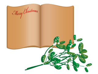 Open old book and snowy mistletoe