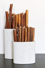 Bamboo sticks in ceramic vases