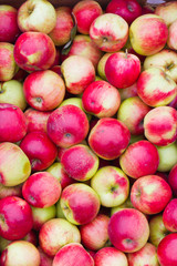 red apple group