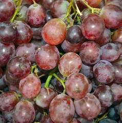 Red grapes