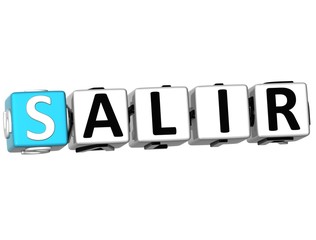 Fototapeta premium 3D Salir Block Text on white background