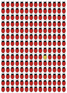 Aus der Rolle fallender Marienk&auml;fer...