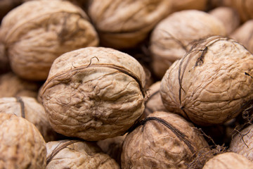 Walnuss