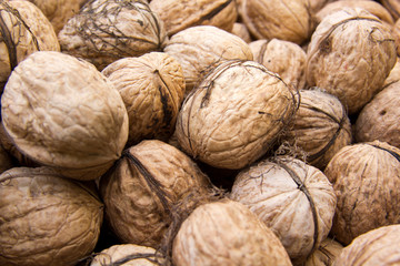 Walnuss