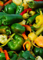 Paprika h.