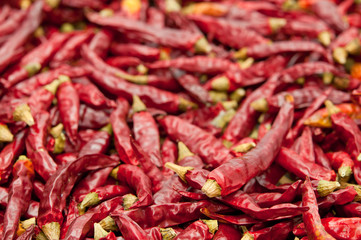 唐辛子のアップ