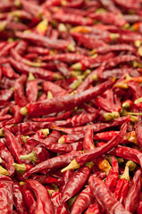 新鮮な唐辛子