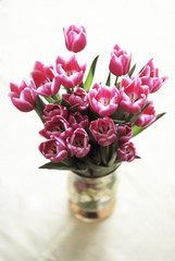 tulips flowers in vase