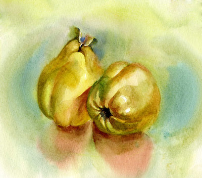 Watercolor Flora Collection: Quince