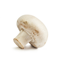Champignon