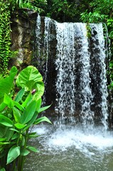 Refreshing waterfall at Botanic Garden
