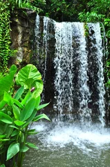 Gordijnen Refreshing waterfall at Botanic Garden © iwansntu