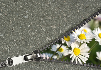 flower hidden behind a zip showing urban concept © ulkan