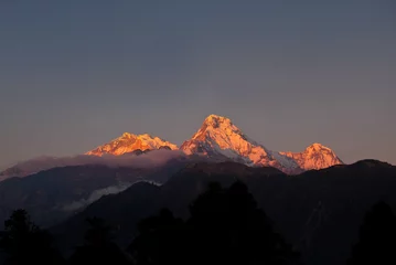 Photo sur Plexiglas Annapurna Annapurna sud au lever du soleil
