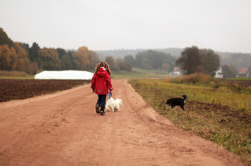 Mädchen geht mit Hunden spazieren