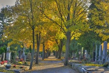 Herbst am Friedhof 6