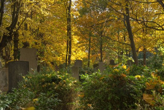 Herbst am Friedhof