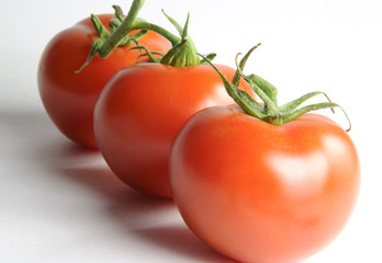 Fresh tomatoes pattern