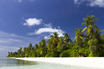 Beach scene in the Maldives