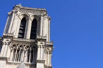 Notre Dame Cathedral - Paris