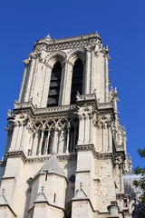 Fototapeta premium Notre Dame Cathedral - Paris