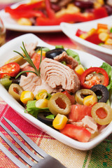 Tuna and vegetable salad