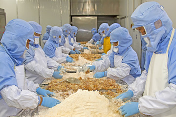 workers in food processing production line