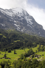 Fototapeta na wymiar Uzdrowiska w polach znajdujących się pod Eiger w Szwajcarii