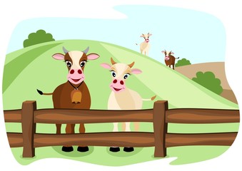 Obraz na płótnie Canvas two cute cows on pasture