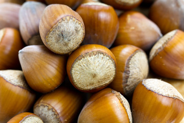 Haselnüsse Hintergrund