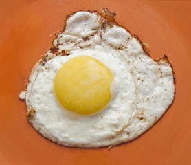 Fried egg
