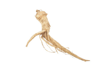 Chinese Ginseng