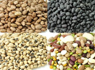 Raw Beans Collection