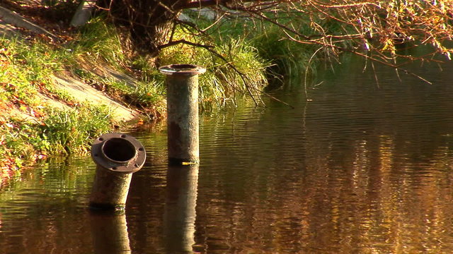 triggers the pipe in the pond