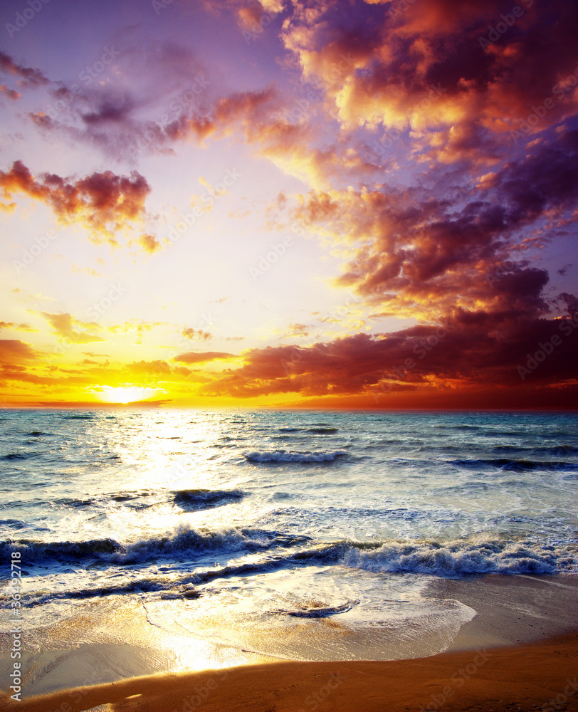 Wall mural sea