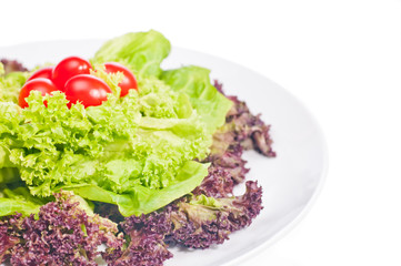 Fresh lettuce and tomato on plate