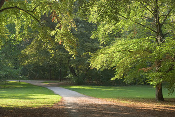 Fototapeta premium Early Autumn Lane