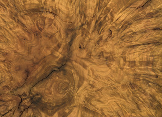 brown burl wood detail