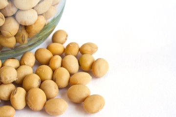 soybean in bottle isolated on white background