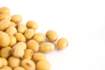soy beans on white background